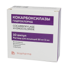 Kokarboksilaza g/x 50 mg 2 ml No 5 eritmasi bilan