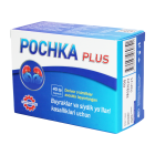 Почка Плюс №40 капсулы