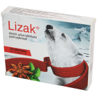 Лизак №20 (анис и мята) таблетки для рассасывания