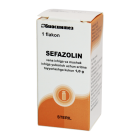 Sefazolin n/s 1,0