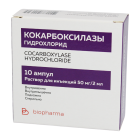 Kokarboksilaza g/x 50 mg 2 ml No 5 eritmasi bilan