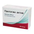 Пантогам актив 300 мг №60 капсулы