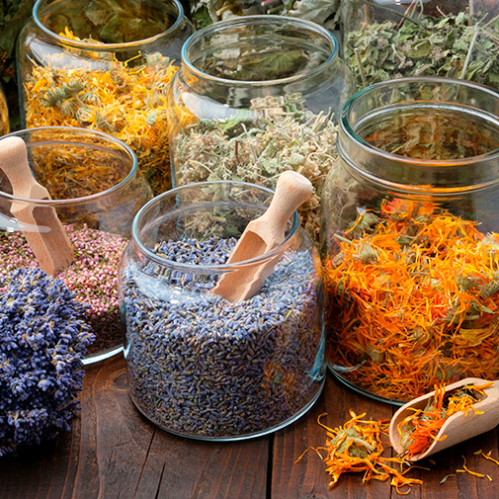 Immunitet va yallig'lanish uchun o'simlik choyi: tananing tabiiy himoyasi