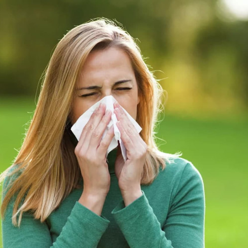 Чихание, зуд, слёзы? Есть решение — Зодак