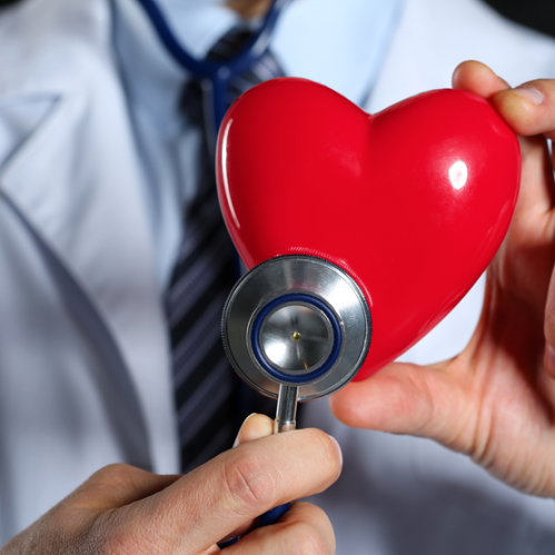 Сердце под защитой: как распознать и предотвратить сердечные болезни