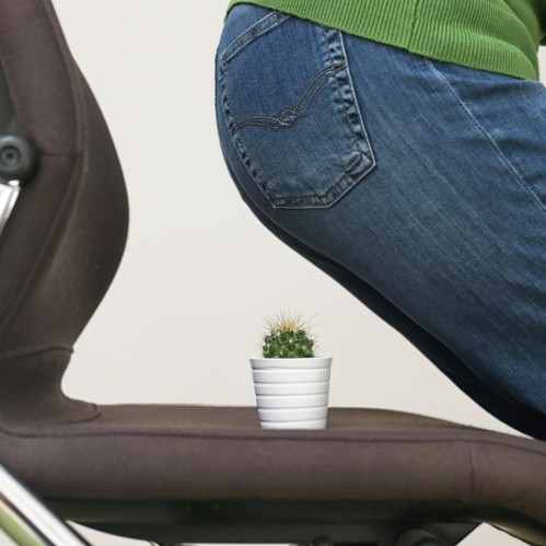 Gemorroy og'rig'idan qanday qutulish mumkin: sabablari, belgilari va samarali davolash usullari