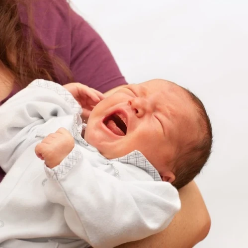 Boladagi gaziklar: ota-onalar nima qilishlari kerak?