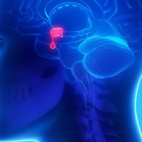 Гиперпролактинемия: Причины, Симптомы и Лечение