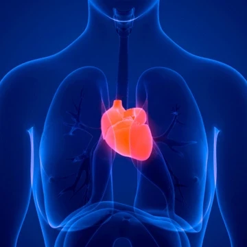 Таблетки от сердца. Лекарственные препараты, помогающие при сердечно-сосудистых заболеваний