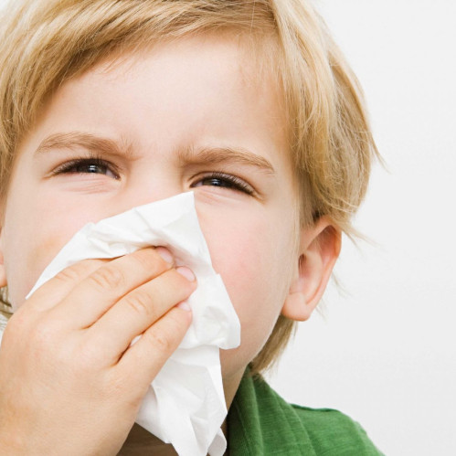 Allergik rinit: uni qanday aniqlash va boshqarish kerak.