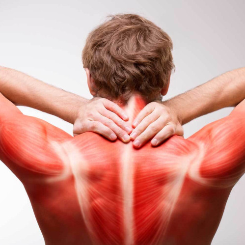 Mushak og'rig'i va u bilan kurashishning samarali usullari