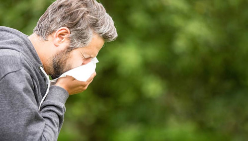 Allergiya va uning namoyon bo'lishi: rinit, ko'zning yallig'lanishi va kon'yunktivit