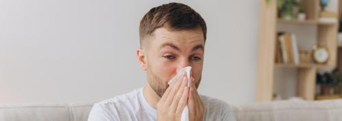 Л-Гис: что это за продукт и как он применяется