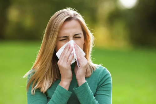 Чихание, зуд, слёзы? Есть решение — Зодак