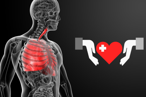 Здоровье дыхания: основные заболевания лёгких и их лечение