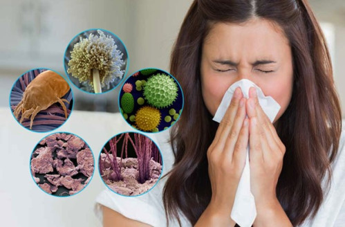 Allergiya va ular bilan kurashishning samarali usullari