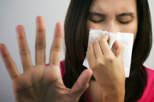 Насморк не проходит? Синупрет поможет очистить пазухи и вернуть свободное дыхание