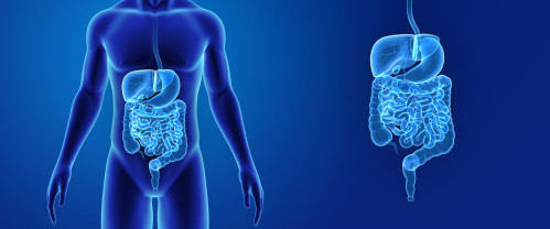 Tannakomp-ovqat hazm qilish kasalliklarini qo'llab-quvvatlash vositasi