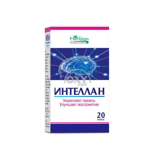 product-Интеллан №20