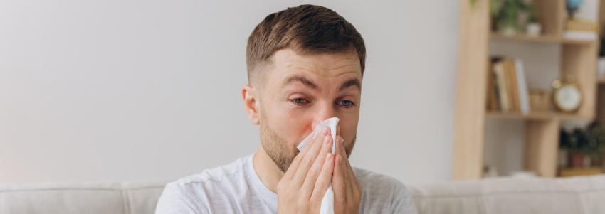 Л-Гис: что это за продукт и как он применяется