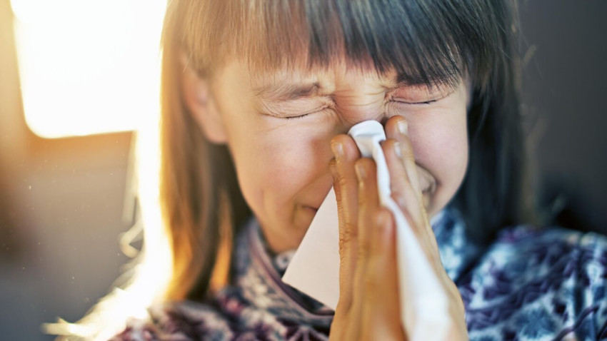 Софалор  — препарат для облегчения симптомов аллергического ринита