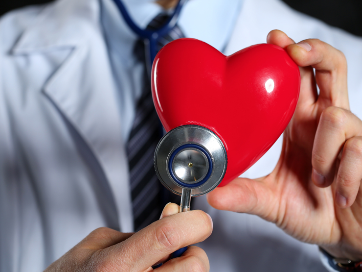 Сердце под защитой: как распознать и предотвратить сердечные болезни