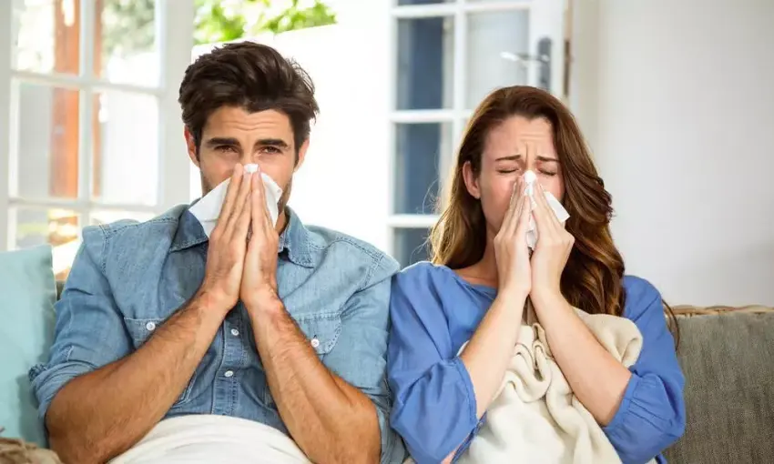 Alcetro: bu mahsulot nima va u qanday qo'llaniladi