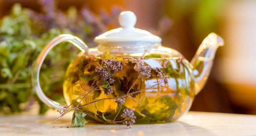 Spazm va immunitetni mustahkamlash uchun o'simlik choyi: har bir stakanda tabiatning kuchi