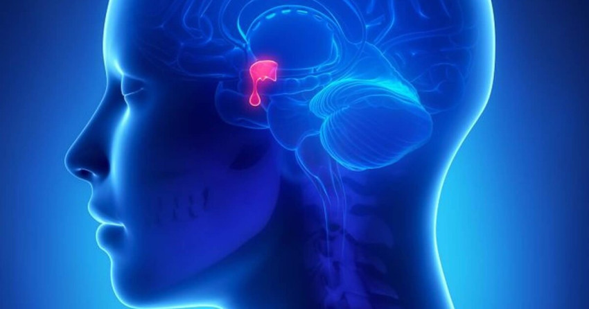 Гиперпролактинемия: Причины, Симптомы и Лечение