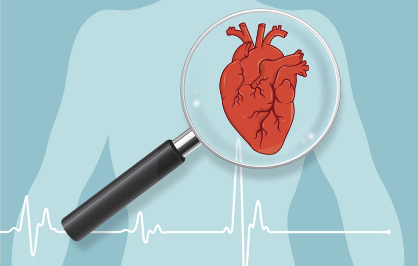 Сердце под защитой: как распознать и предотвратить сердечные болезни